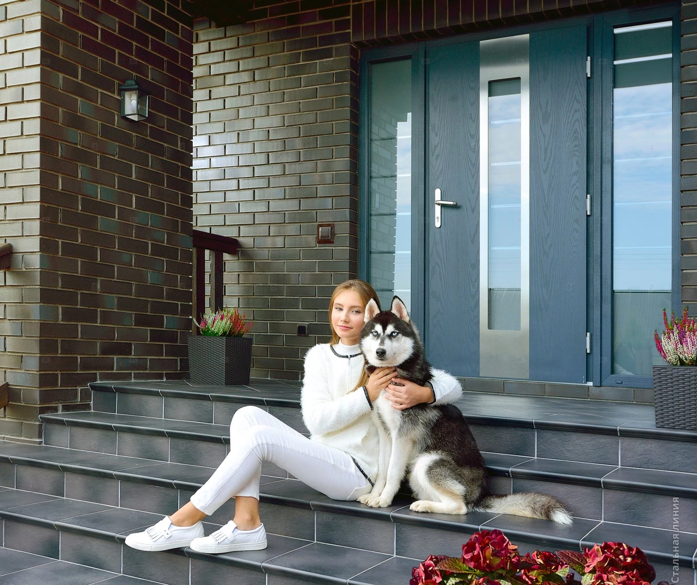 обложка-хаски22.jpg обложка-хаски22.jpg