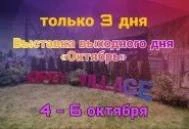 «Стальная линия» на выставке Open Village