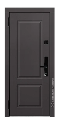 Входная дверь Дельфа (вид снаружи) - купить в Москве