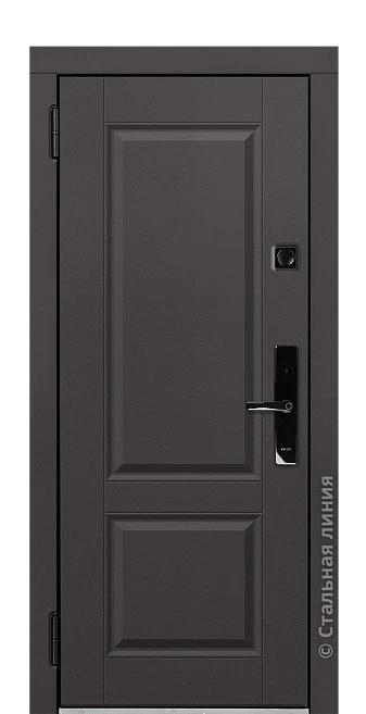 Входная дверь Дельфа (вид снаружи) - купить в Москве