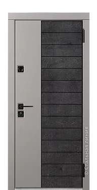 Входная дверь Сага Лайт (вид снаружи) - купить в Москве