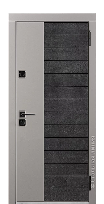 Входная дверь Сага Лайт (вид снаружи) - купить в Москве