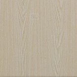 Дуб беленый