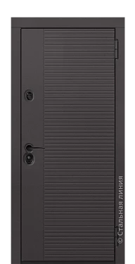 Входная дверь Миолея (вид снаружи) - купить в Москве