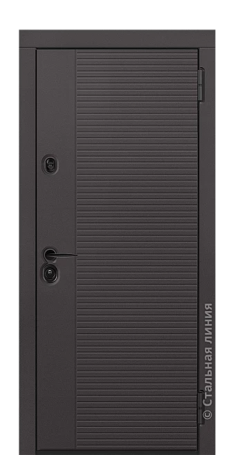 Входная дверь Миолея (вид снаружи) - купить в Москве