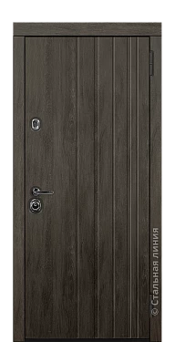 Входная дверь Кеми (вид снаружи) - купить в Москве