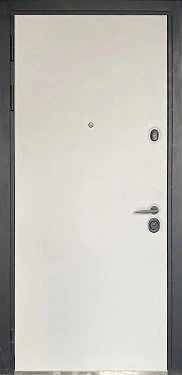Входная дверь 917АР1 (вид снаружи) - купить в Москве