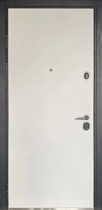 Входная дверь 917АР1 (вид снаружи) - купить в Москве