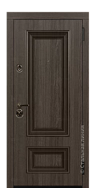 Входная дверь Поло (вид снаружи) - купить в Москве