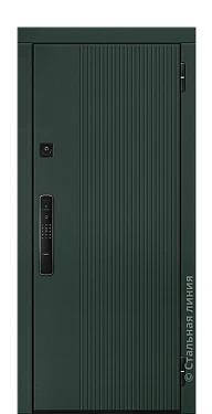 Входная дверь Кэри (вид снаружи) - купить в Москве