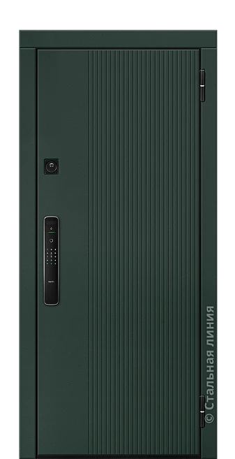 Входная дверь Кэри (вид снаружи) - купить в Москве