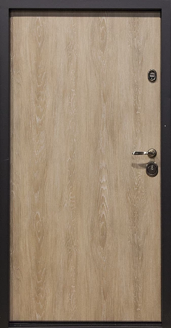 Входная дверь 253АР5 (вид снаружи) - купить в Москве
