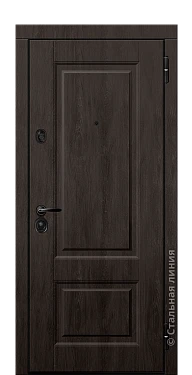 Входная дверь Далия (вид снаружи) - купить в Москве