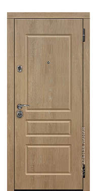 Входная дверь Торонто (вид снаружи) - купить в Москве