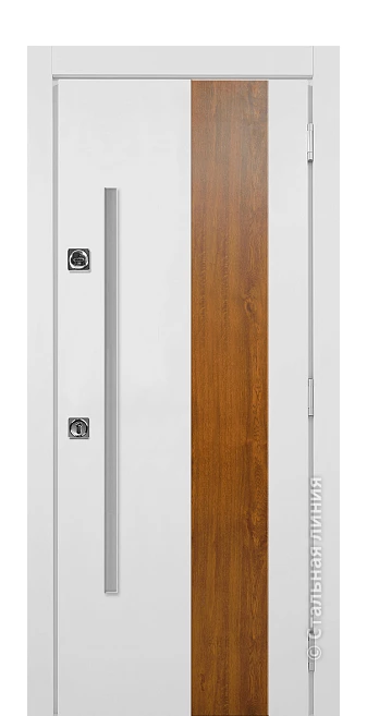Входная дверь Авенида (вид снаружи) - купить в Москве
