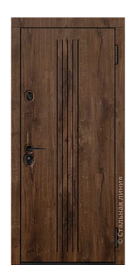 Входная дверь Брум (вид снаружи) - купить в Москве