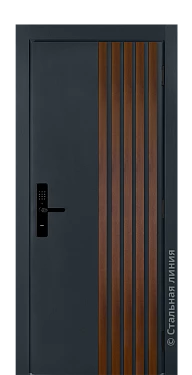 Входная дверь Борнео (вид снаружи) - купить в Москве