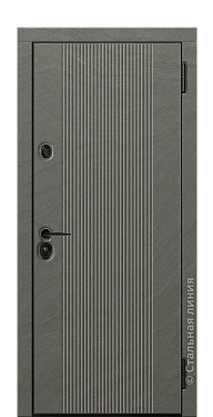 Входная дверь Солид (вид снаружи) - купить в Москве