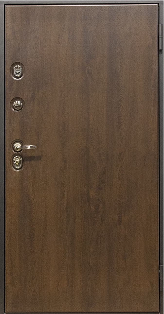 Входная дверь 253АР5 (вид изнутри) - купить в Москве