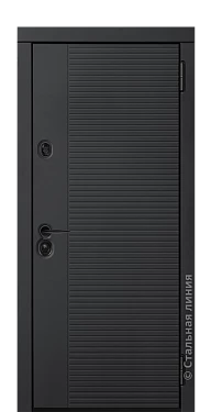 Входная дверь Миолея (вид снаружи) - купить в Москве