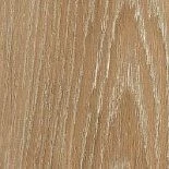 Дуб миндальный