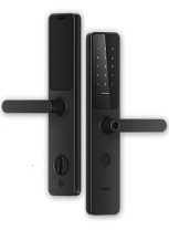 Electronic  Aqara A100