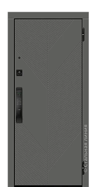 Входная дверь Калиста (вид снаружи) - купить в Москве