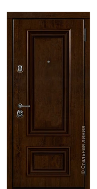 Входная дверь Поло (вид снаружи) - купить в Москве