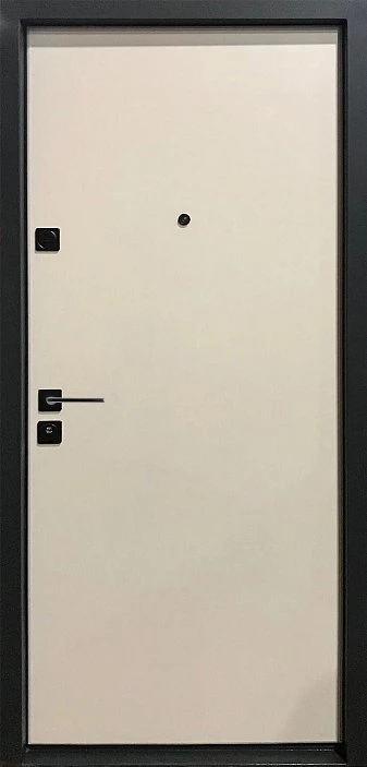 Входная дверь 481АР1 (вид снаружи) - купить в Москве