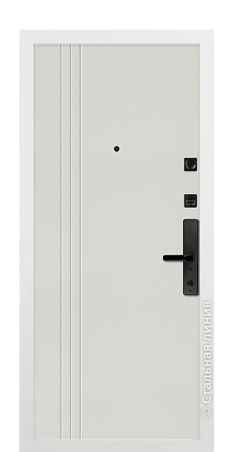 Входная дверь Вернер (вид изнутри) - купить в Москве