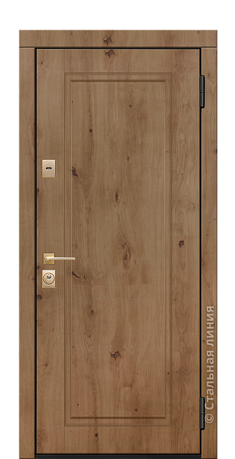 Входная дверь Амарис (вид снаружи) - купить в Москве