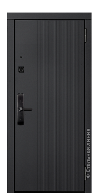 Входная дверь Морелла (вид снаружи) - купить в Москве