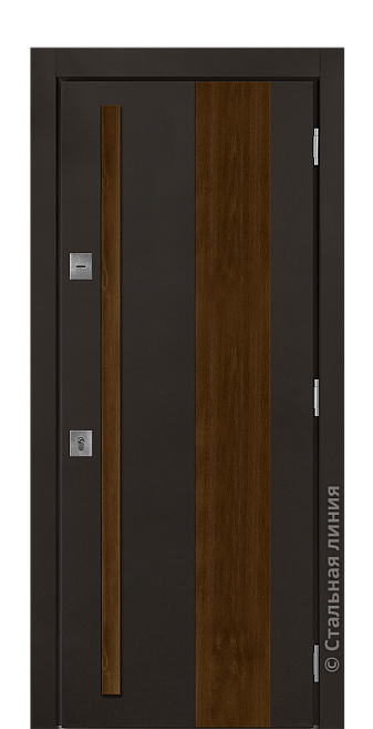 Входная дверь Авенида (вид снаружи) - купить в Москве