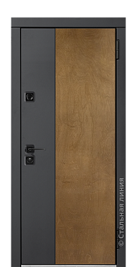 Входная дверь Гарда (вид снаружи) - купить в Москве