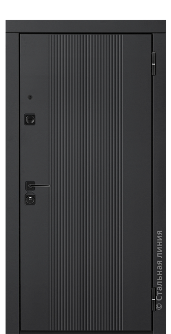 Входная дверь Атум (вид снаружи) - купить в Москве