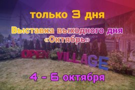 «Стальная линия» на выставке Open Village